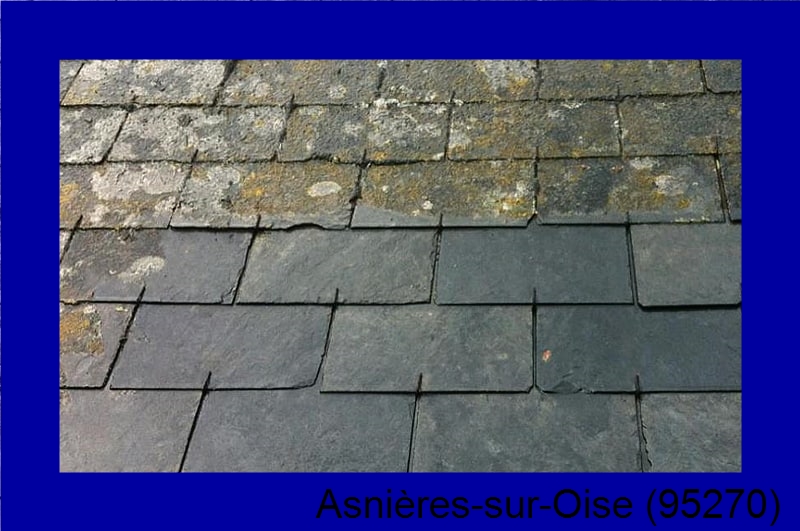 devis démoussage Asnières-sur-Oise-95270