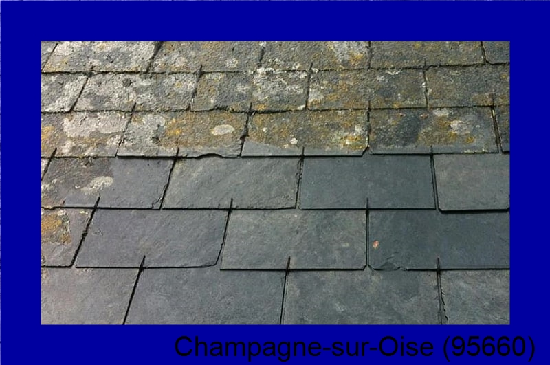 devis démoussage Champagne-sur-Oise-95660
