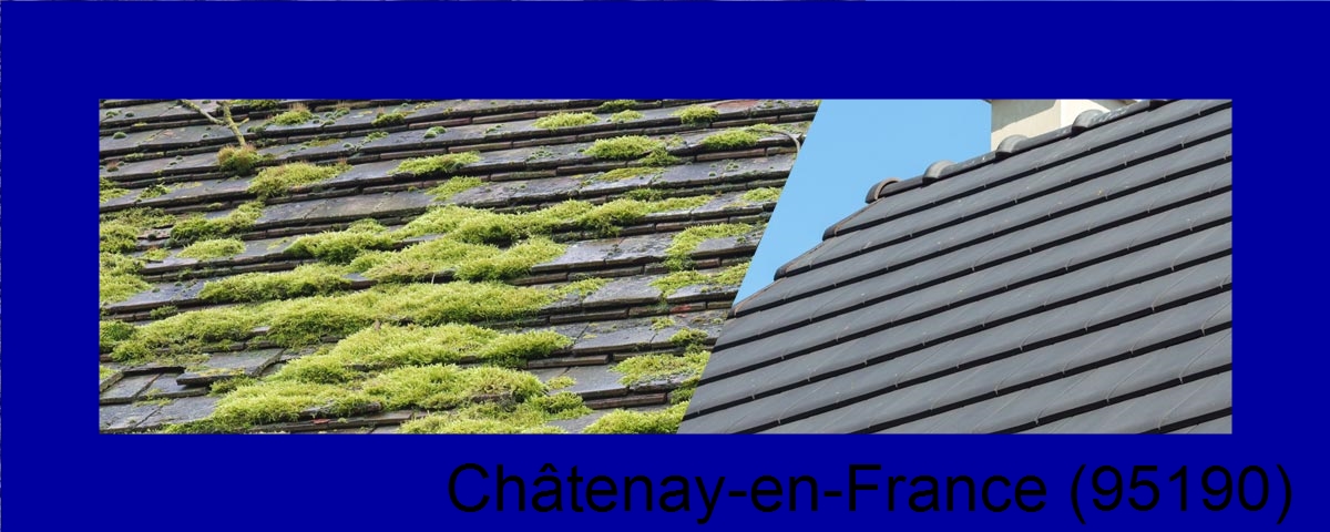 artisan couvreur Châtenay-en-France-95190