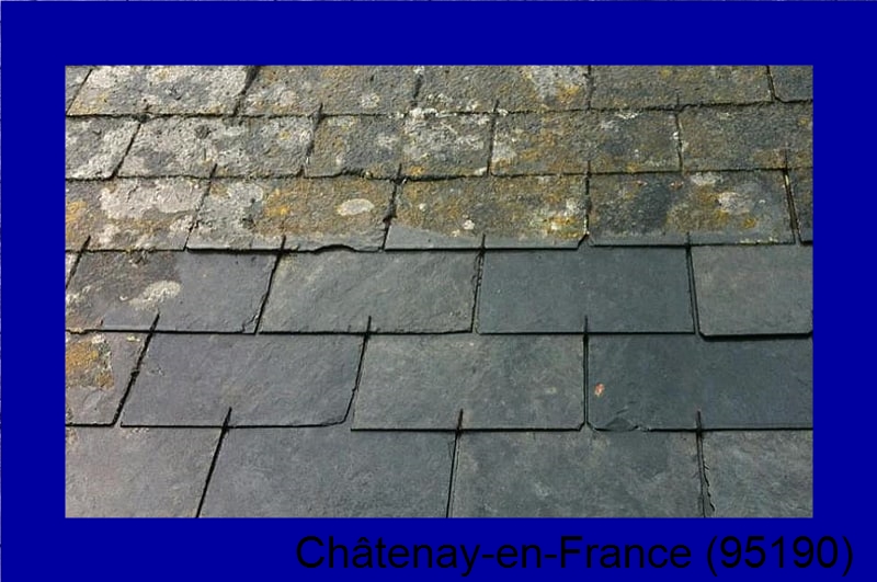 devis démoussage Châtenay-en-France-95190
