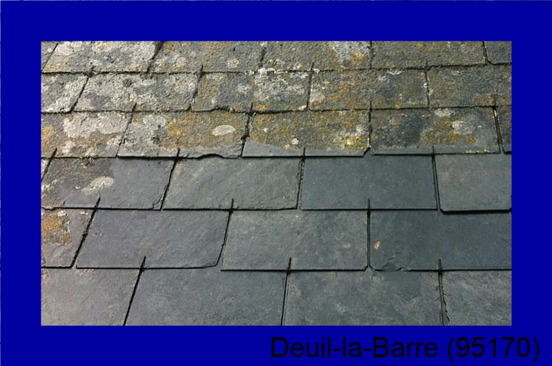 devis démoussage Deuil-la-Barre-95170
