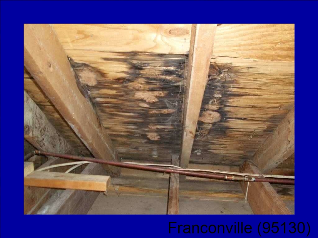couverture ardoise Franconville-95130