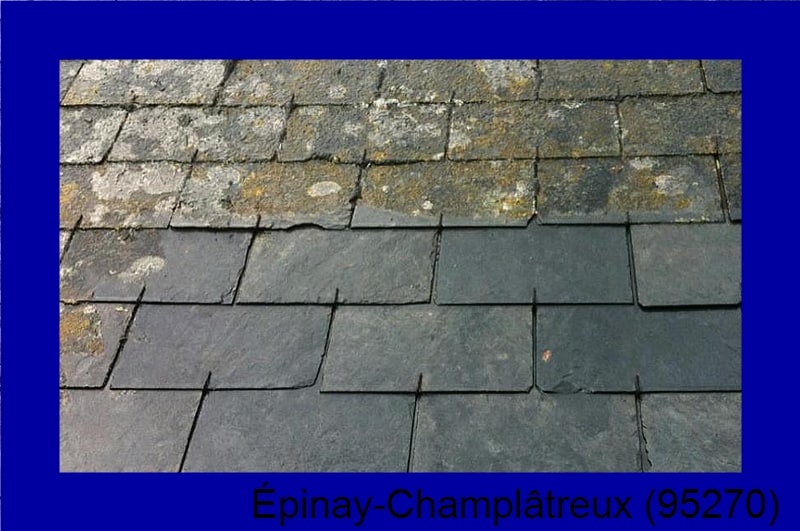 devis démoussage Épinay-Champlâtreux-95270